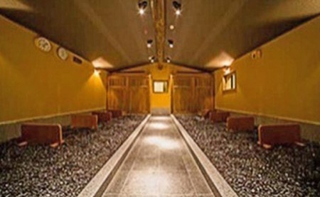 瀬戸内 温泉 たまの湯 入館優待券 10枚 セット 利用券 チケット 温泉利用券 