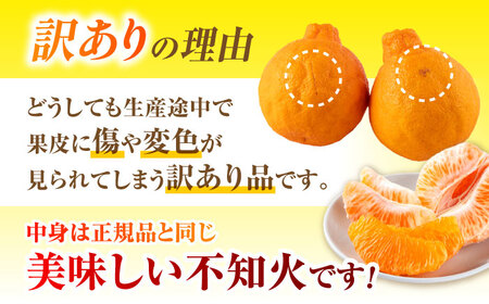 【順次発送中】【訳あり】 柑橘の王様 ハウス栽培 不知火 デコポン 約3kg（7～12玉） 【小春農園】[ZBN008]