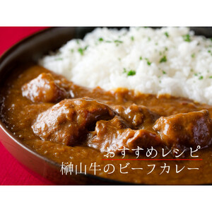【訳アリ】 超希少黒毛和牛「榊山牛」煮込み用ブロック肉 500g  ビーフシチュー・ビーフカレー・赤ワイン煮等  美食  訳ありグルメ