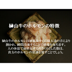 【1週間以内に発送！】 超希少和牛「榊山牛」ホルモン（小腸）焼肉・もつ鍋用 1kg　広島県内最高級和牛 新鮮 ぷりぷりホルモン グルメ 美食