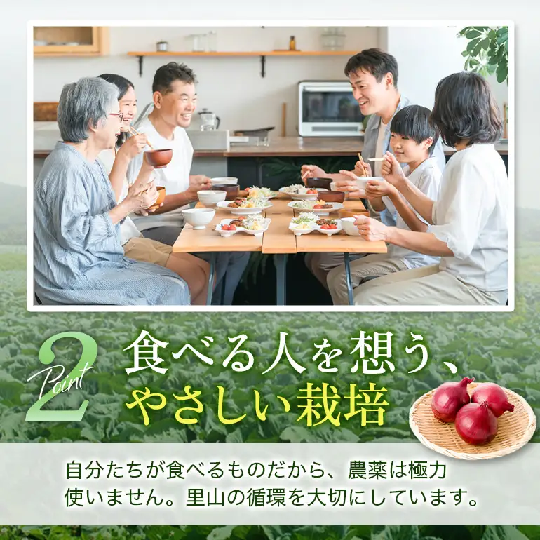 安芸高田市の小さな農家がお届けするふるさと旬野菜セット 野菜類 詰合せ やさい 