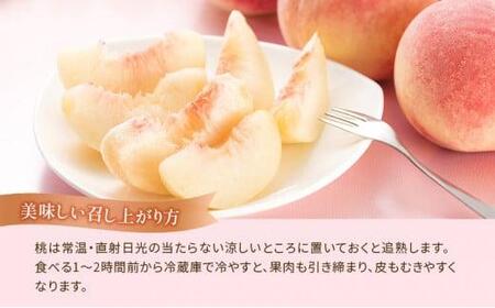 【2026年6月下旬から順次発送】 桃 約3.7kg 飯南の桃 父の日 お中元 香川県 丸亀市