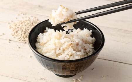 五穀米（黒・赤）＆もち麦セット 計1300g (450g×2袋) (400g×1袋)お米 米 五穀米 玄米 黒米 赤米 押し麦 餅きび 食べ比べ 食物繊維 麦ごはん 国産五穀米