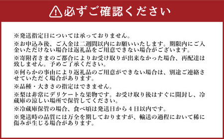 《先行予約》 山之上の梨 （ 品種はおまかせ ） 約3kg（ 5～8玉 ） 【2026年8月下旬～10月上旬発送予定】
