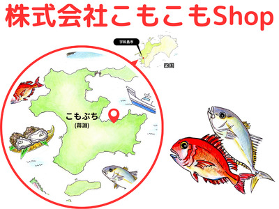 スマ 幻 の 高級魚 養殖スマ（媛スマ）皮付ロイン 2パック こもこもShop ロイン 養殖 刺身 お刺身 お刺し身 刺し身 人気 塩焼き 煮付け アレンジ 新鮮 冷凍 国産 愛媛 宇和島 D034-186011