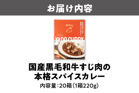 本格スパイスカレー「ヤドカリー」レトルトカレー　黒毛和牛すじ　20食セット_OS197-0002