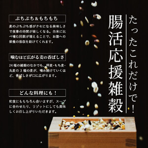 麦の恵み24穀米ブレンド 4kg(800g×5袋)