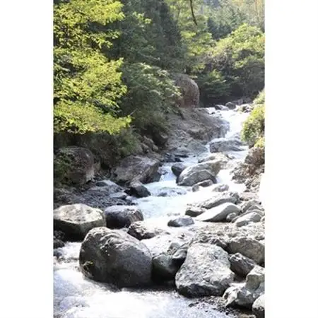 忍沢養殖場特製「富士の介漬け魚セット」【配送不可地域：離島】【1204450】