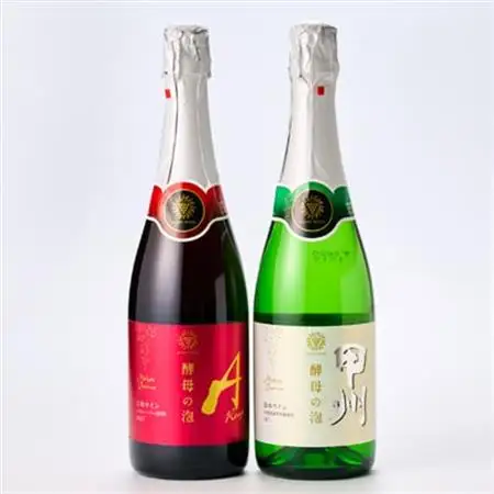 山梨県産ベーリーA種と甲州種から造った辛口スパークリングワイン2本セット【マンズワイン】【配送不可地域：離島】【1217900】