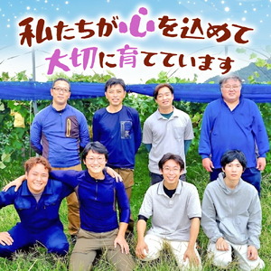 種無しピオーネ 約1kg(2～3房)【ご家庭用･先行予約】数量限定 空の雫 ピオーネ ぶどう 葡萄 ブドウ フルーツ 果物 くだもの 濃厚 甘み コク 大粒 デザート 産地直送 世羅 世羅産 サンワファーム 【2026年9月上旬以降順次発送】 A025-01