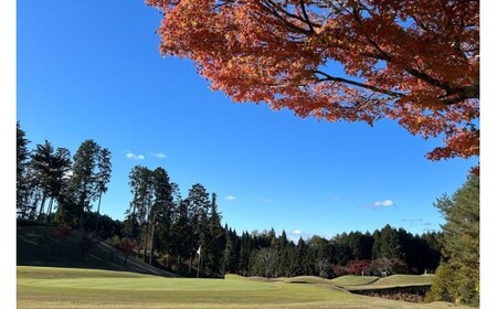 むらさき野カントリークラブ （ゴルフプレー割引券）100枚