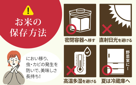 【令和7年産】こしひかり  白米 10kg | コシヒカリ 