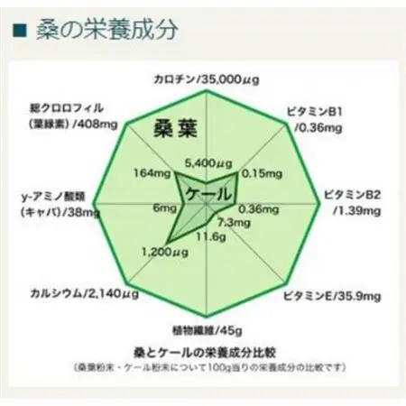 大阪産(もん)桑の葉パウダー(マルベリー リーフ パウダー )30g×3袋【1489160】