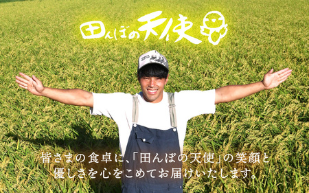 【中日賞受賞】《3ヶ月定期便》農薬不使用 こしひかり 5kg×3ヶ月連続 計15kg 特別栽培米コシヒカリ【精米】福井県認証区分1取得「田んぼの天使」 [e10-f003]