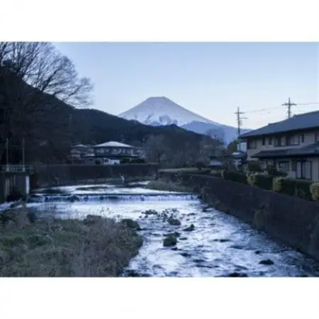 factory towel bathブラウン　 [バスタオル]【配送不可地域：離島】【1319576】
