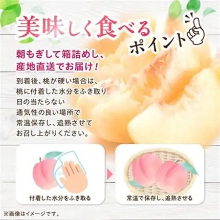 日本一の桃の里 山梨よりもぎたてを直送!山梨県オリジナル品種「夢みずき・夢しずく」1.5キロをお届け【配送不可地域：離島】【1381399】