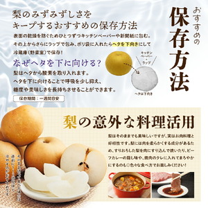 幸水梨 ご自宅用 約5kg【先行予約・数量限定】世羅 幸水農園 幸水 梨 せら なし フルーツ 果物 くだもの 甘い 果汁 ジューシー デザート 産地直送 JGAP認証 新鮮【2026年8月中旬以降順次発送】 A005-01