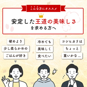 令和7年度産 米 2kg 岩手県産 ひとめぼれ 米