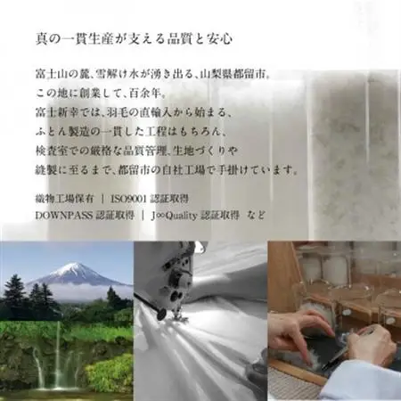 【富士新幸謹製】グース ダウンピロー(羽毛まくら)・50×70cm|ホワイトグースダウン＆フェザー【配送不可地域：離島】【1406014】