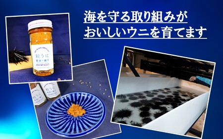 豊後の磯守 粒うに 60g×2本 _2522R
