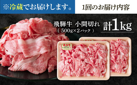 【6回定期便】 ※冷蔵配送/地域限定※ 飛騨牛 小間切 (大) 500g×2セット 瑞浪市 / きなぁた瑞浪 和牛 国産 岐阜県産[AZCI072]