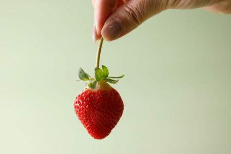 いちご あまおう 270g 4p 計約1kg【12月発送】[hurrah. 福岡県 宇美町 um40bjm200002]