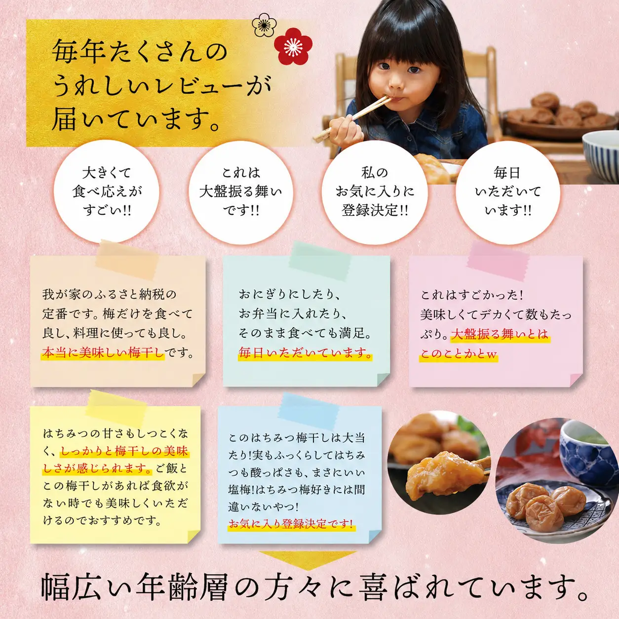 梅干し 紀州南高はちみつ梅干し 1.4kg 大粒 ご家庭用【inm100B】
