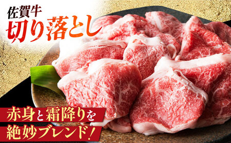 ハンバーグ付き！三栄のデイリーセット 【肉の三栄】 佐賀牛 佐賀県産豚 ありたどり 切り落とし[HAA203]