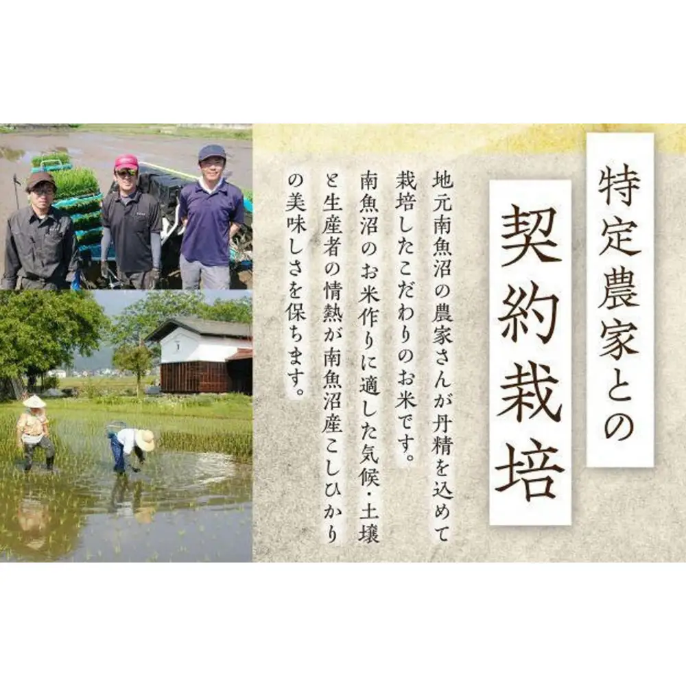 【定期便６回】（毎月下旬お届け）雪蔵氷温米 南魚沼産こしひかり２ｋｇ【高島屋選定品】【定期便 銘柄米 ブランド米 精米 こしひかり コシヒカリ 魚沼産 新潟米 産地直送 お米 米 こめ コメ ご飯 御飯 ごはん】