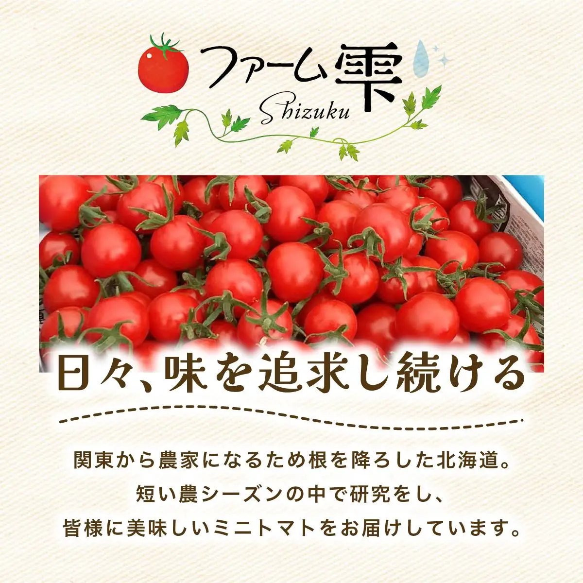 空知の恵みをギュッと凝縮 そらちのしずくトマトソース ２袋【a127-006】