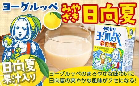 ◆期間限定◆ヨーグルッペプレーン&ぶどう&みやざき日向夏54本セット_14-2305_(都城市) 乳酸菌飲料 ヨーグルッペプレーン ヨーグルッペみやざき日向夏 ヨーグルッペぶどう