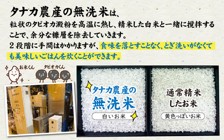 令和7年産【無洗米】特別栽培米 福井県産コシヒカリ 10kg (5kg×2袋) [C-020032] / 無洗米