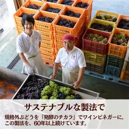 お酢のイメージを変える!ドリンクビネガーぶどう6本セット〈濃縮タイプ飲む酢/山梨産ビネガー使用〉【配送不可地域：離島】【1488906】