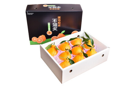 【先行予約】 人吉産 不知火（しらぬい）3kg フルーツ 果物 くだもの 柑橘 デコポン でこぽん お取り寄せ【2027年1月上旬～2月上旬発送予定】