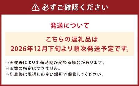 【先行予約】 人吉産 不知火 （しらぬい） 6kg フルーツ 果物 くだもの 柑橘 デコポン でこぽん お取り寄せ【2026年12月下旬より順次発送予定】