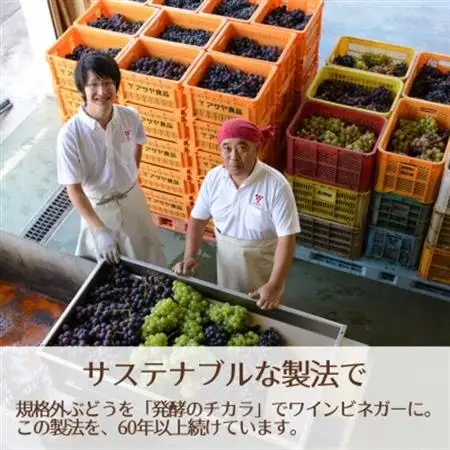 山梨産ぶどう100%の熟成ビネガーで造った!そのまま飲める【ビネガーソーダぶどう6本セット】【配送不可地域：離島】【1537854】