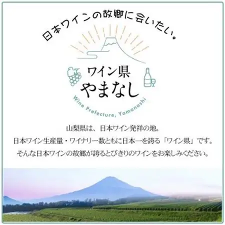 山梨県作出ブドウ 甲斐ノワール＆ヤマ・ソービニオン 2本セット【配送不可地域：離島】【1607456】