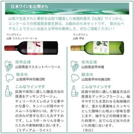 これぞ山梨 「GI山梨」認証ワイン 6本セット【配送不可地域：離島】【1607485】
