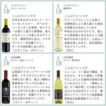 山梨ワイン 至極の12本セット【配送不可地域：離島】【1607490】