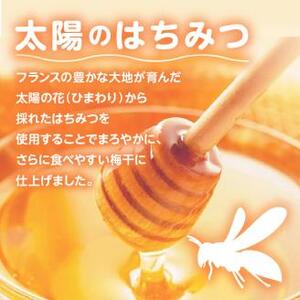 【0402-4】はちみつ梅干し（紀州南高梅）800g 中粒 2L 和歌山県産 うめぼし