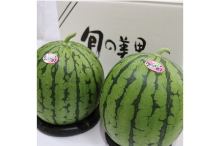 【0412-3】南国紀州・日高の太陽が育んだ小玉スイカ(ひとりじめセブン)《先行予約2026年5月中旬より順次発送予定》