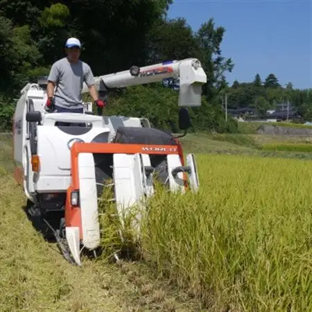 冷めても美味しい!【令和7年産】こぴっと米【五百川】白米・4kg　特別栽培米【配送不可地域：離島】【1652043】