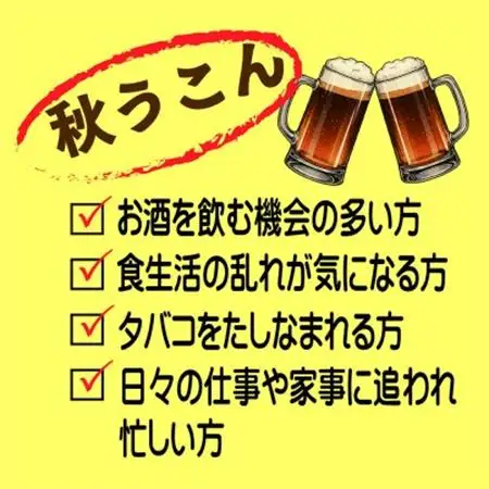 粉末秋うこん100g〔3パック〕【1670281】