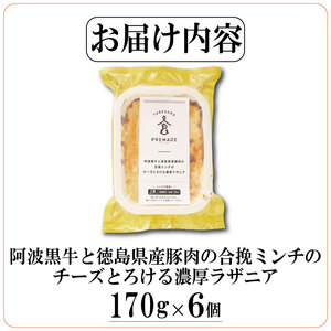 濃厚 ラザニア 170g×6個 国産 阿波黒牛 阿波牛 牛肉 豚肉 合い挽き 合挽き 合挽  チーズ 徳島県 ドリームチーム
