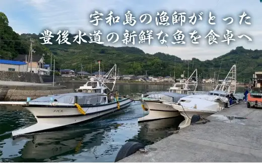 宇和島の鯛めし 1～2人前 2セット 宇和島鮮魚 鯛めし D010-200001