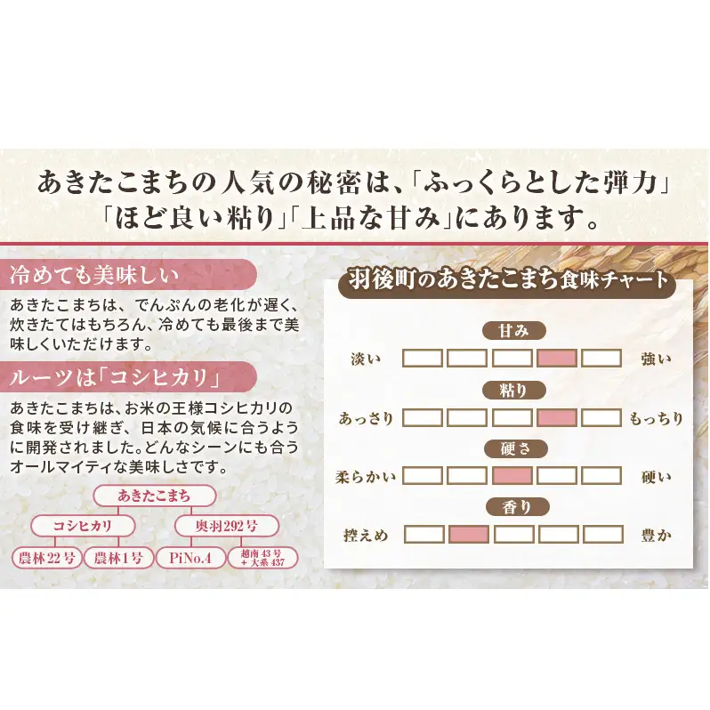 秋田県 羽後町産 あきたこまち 精米 5kg×1袋【 米 お米 白米 精米 アキタコマチ 美味しい 秋田 羽後 】