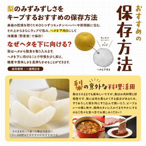 世羅豊水梨 5kg（ご自宅用）【先行予約・数量限定】世羅 大豊農園 豊水 梨 せら なし フルーツ 果物 くだもの 産地直送 新鮮【2026年9月中旬以降順次発送】 A019-04