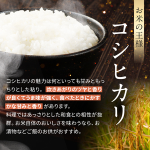 伊那市産 こしひかり 5kg 【014-56】