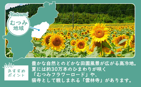 山口県萩市への応援寄付金[返礼品なし] 15,000円分
