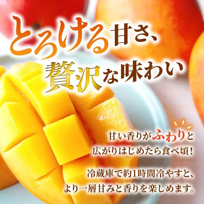 【家庭用】宮古島産マンゴー4kg ＜リトルグローブ＞（LT005）